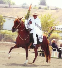 Silvano Taipe show horse